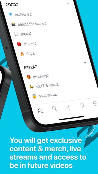 Z Team Community Screenshot