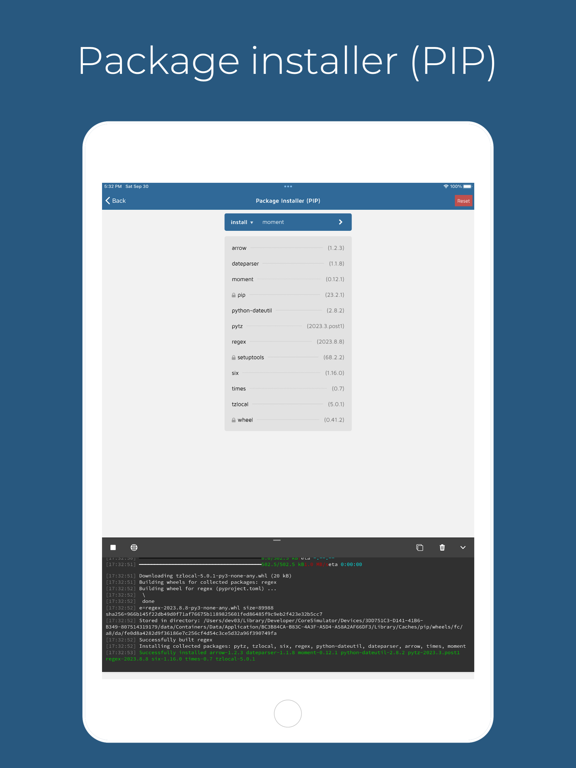Pythonica: Code and Debug iPad screenshot 2 - Developer Tools app