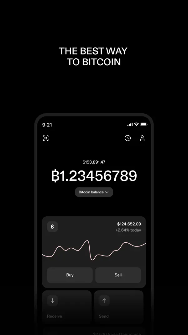 STRIKE: BUY & HOLD BITCOIN Screenshot 1