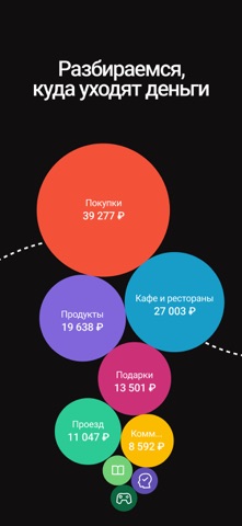 Дзен-мани: учет расходов iPhone screenshot 4