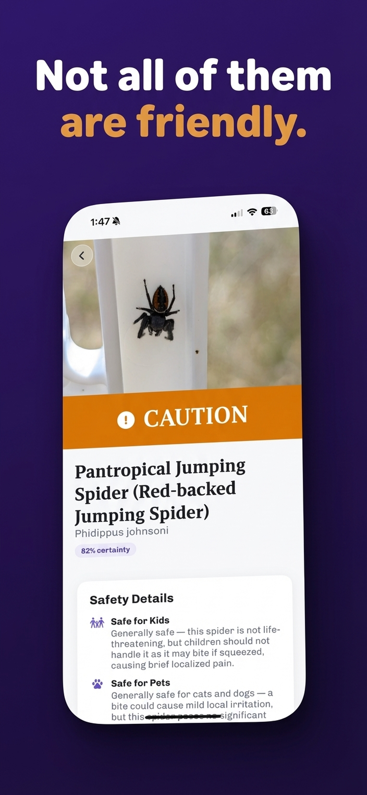 Spider Identifier: Spider Scan