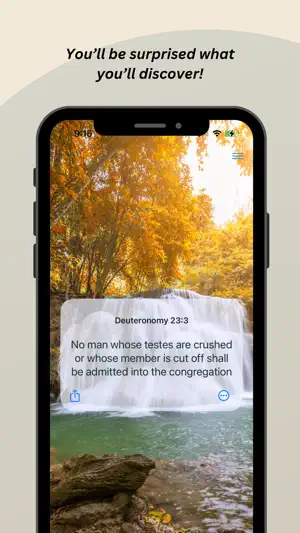 DailyDvar screenshot 4