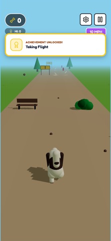 Havanese Hero iPhone screenshot