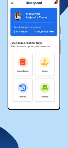 Bluespend iPhone screenshot