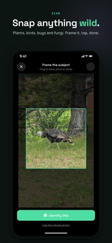 Biotadex screenshot 1