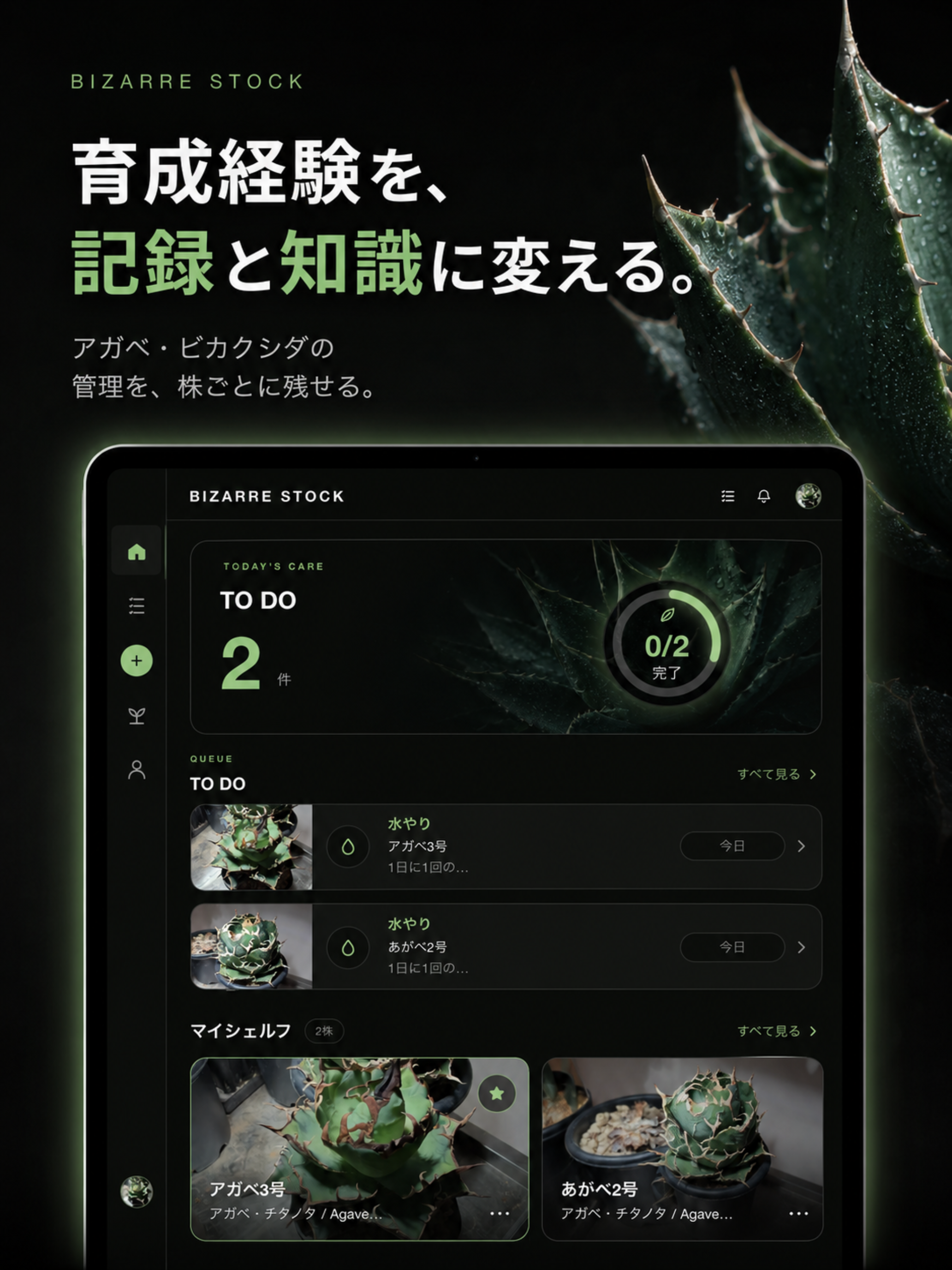 BIZARRE STOCK｜植物育成記録 screenshot 6