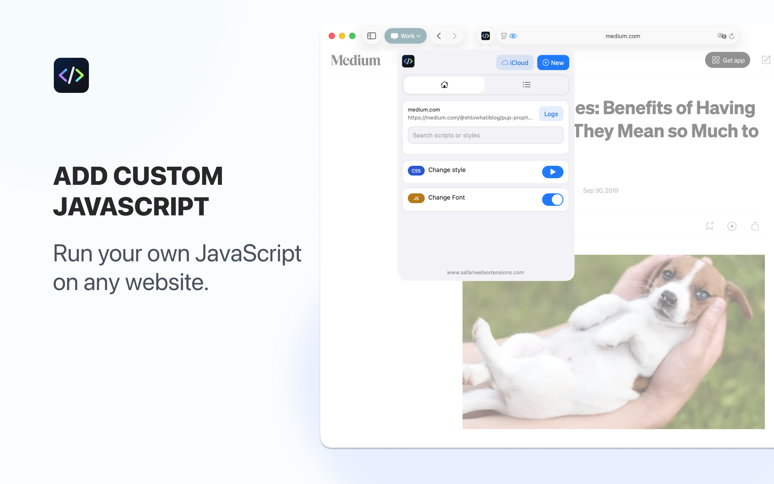 Custom JS & CSS for Safari screenshot 12