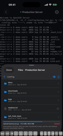 YerenSSH Pro screenshot 3