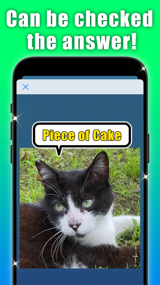 #3. PicPuzzLite (iOS) Podle: F-NET Apps
