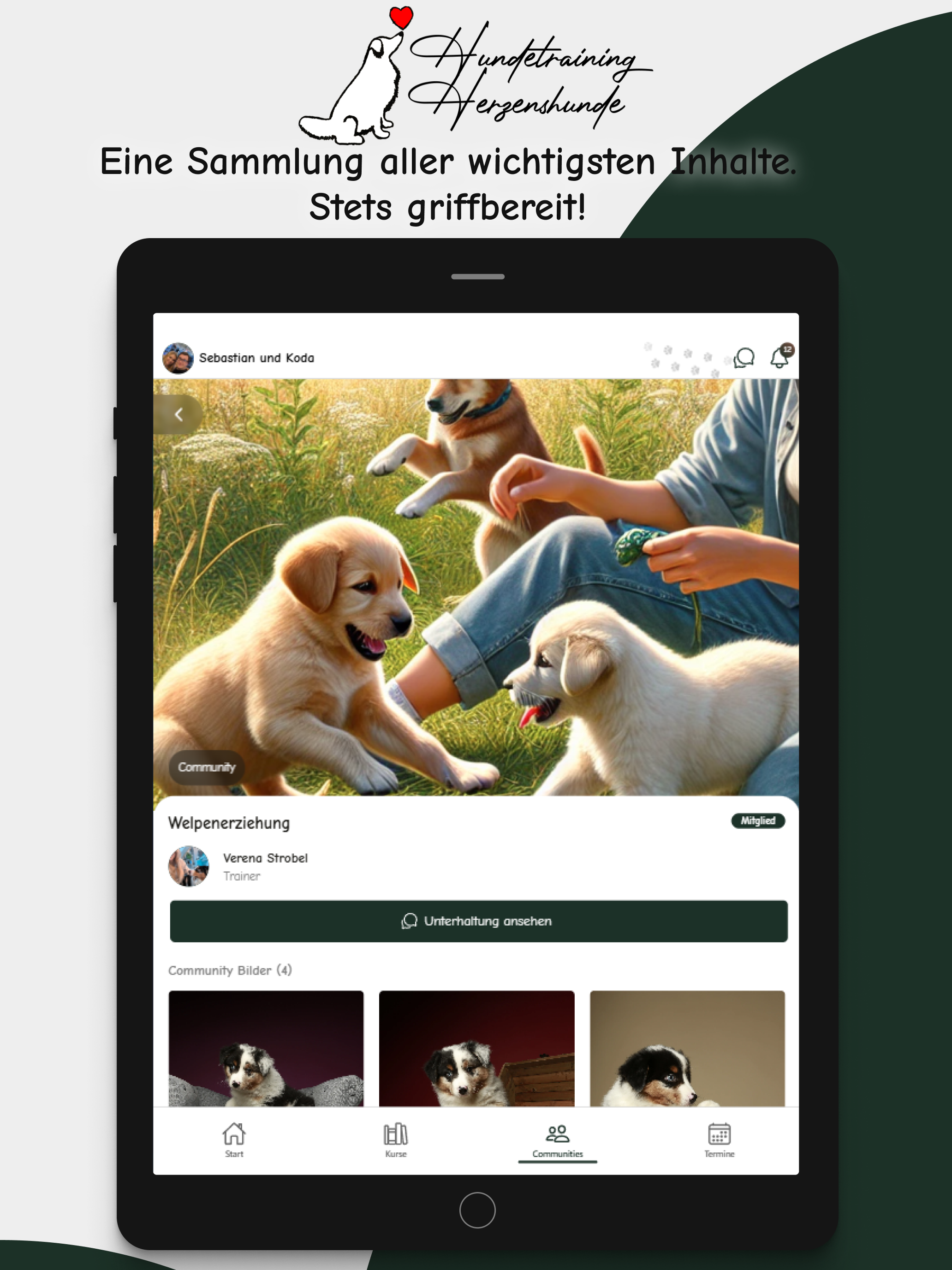 Hundetraining Herzenshunde