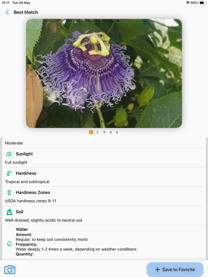 Plant Identifier AI Scanner