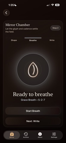Tone Mirror Journal Screenshot 7 of 10