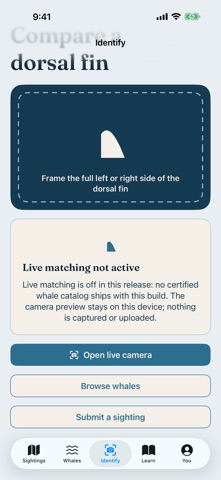 Fluke: Orca Watch Screenshot 2 of 7