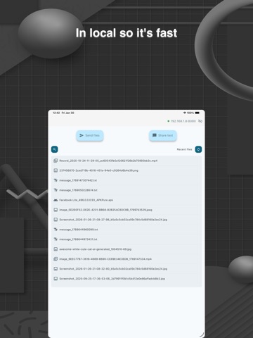 NetShare - share file in local iPad screenshot 2