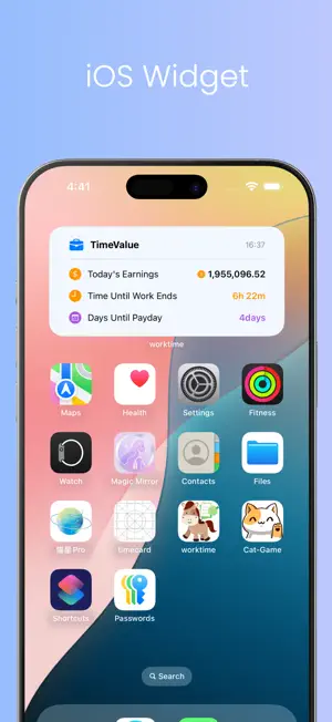 TimeValue Pro-Income calc screenshot 4