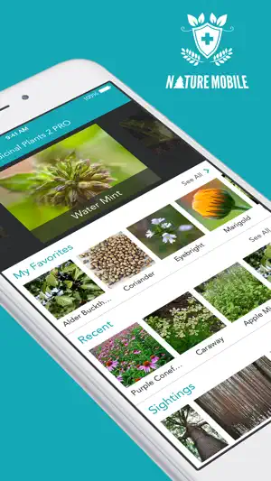 Medicinal Plants PRO · NM screenshot 1