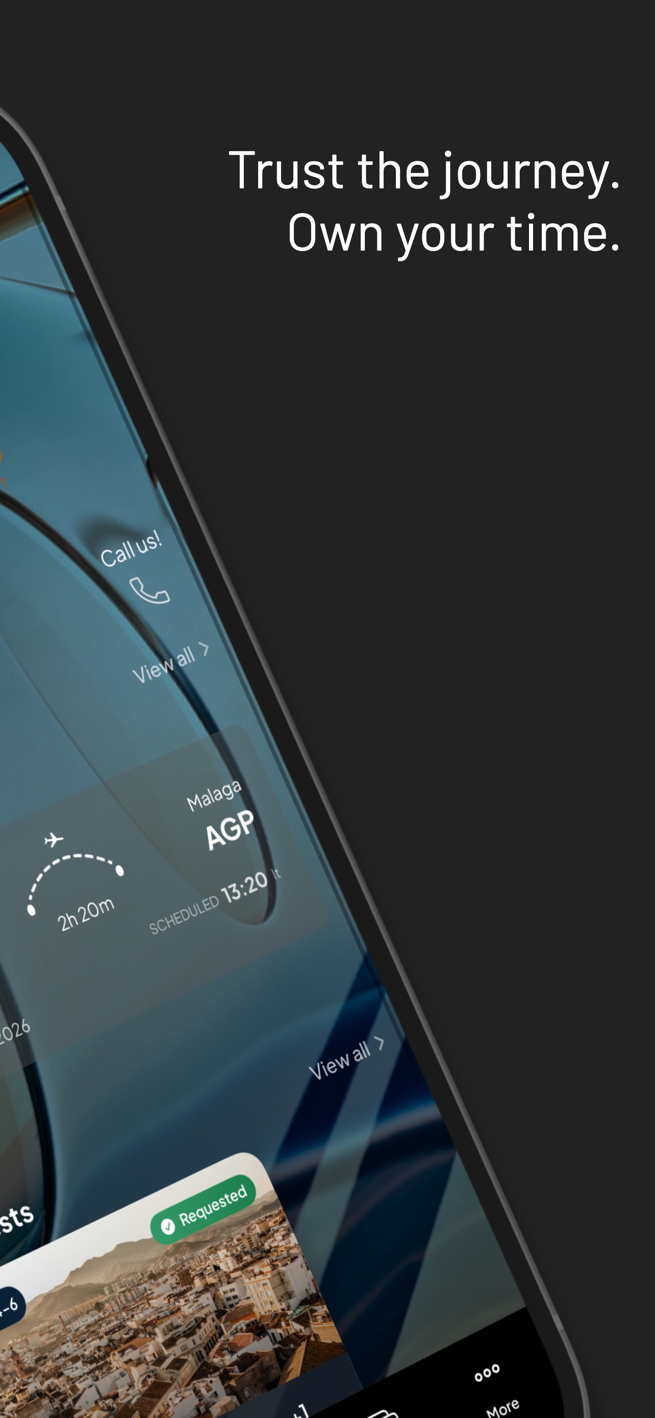 Screenshot 7 of Swift Wings Aviation
