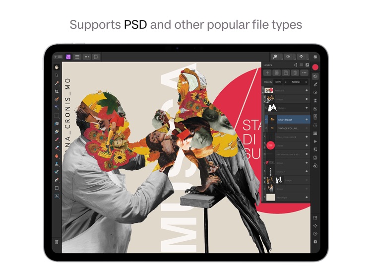 Affinity Photo 2 for iPad screenshot-8