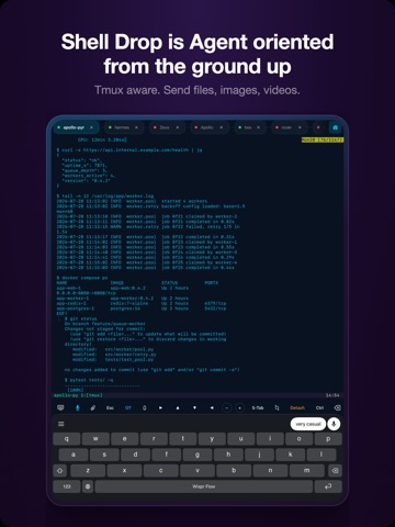 Shell Drop: AI Agent Terminal iPad screenshot 2