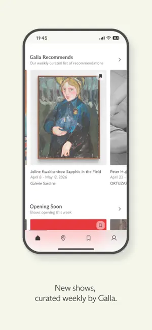 Galla screenshot 2