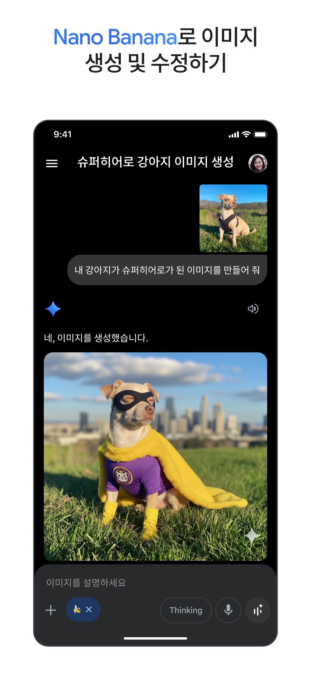 Google Gemini 스크린샷 1