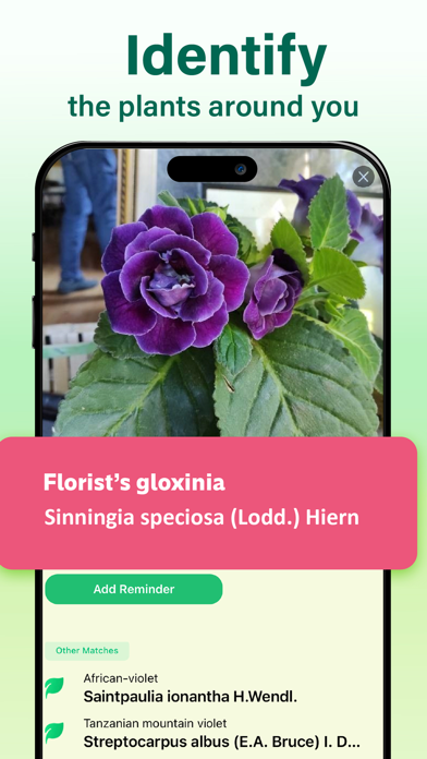 Plant Identifier & Care Guide Screenshot