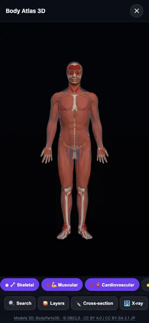 Human Body Explorer: Anatomy screenshot 2