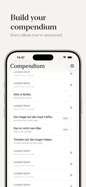 Idiomatics screenshot 3