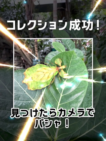 AR昆虫採集 ミクロモンスターズ iPad screenshot