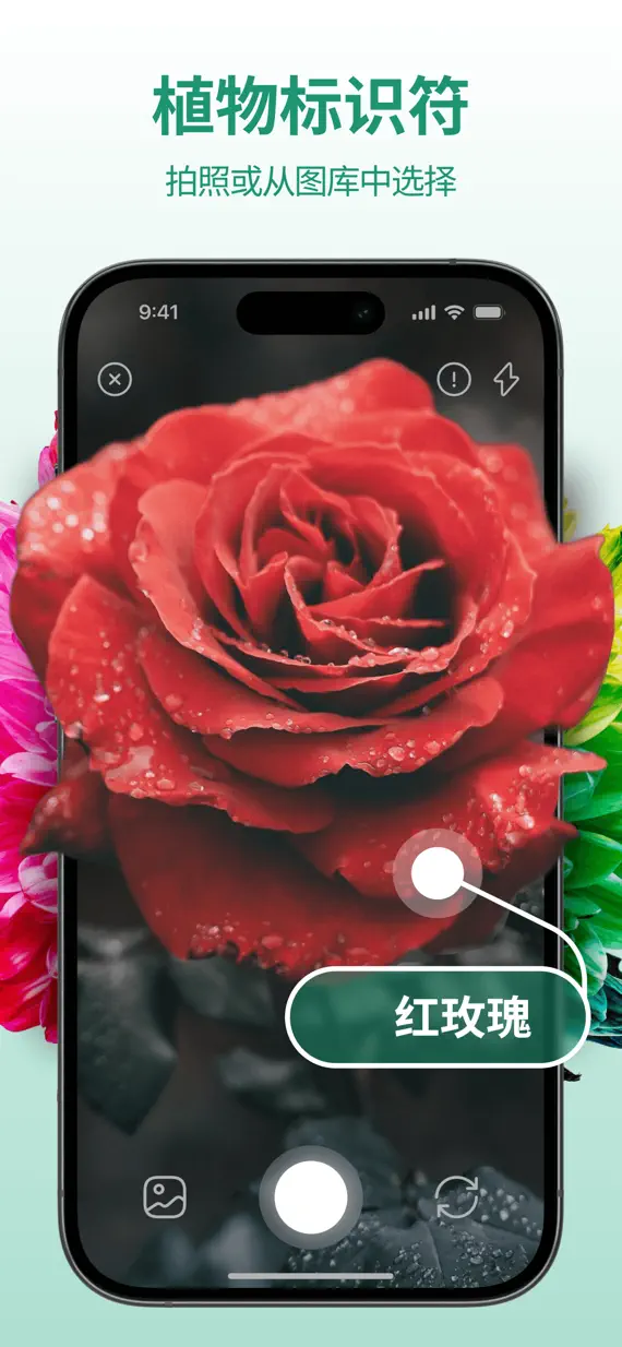 PlantExpert Leaf Identifier screenshot 1