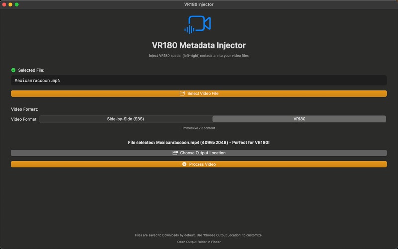3D Video Meta Data injector screenshot