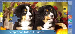 Jigsaw Puzzle Club for Adults screenshot 4
