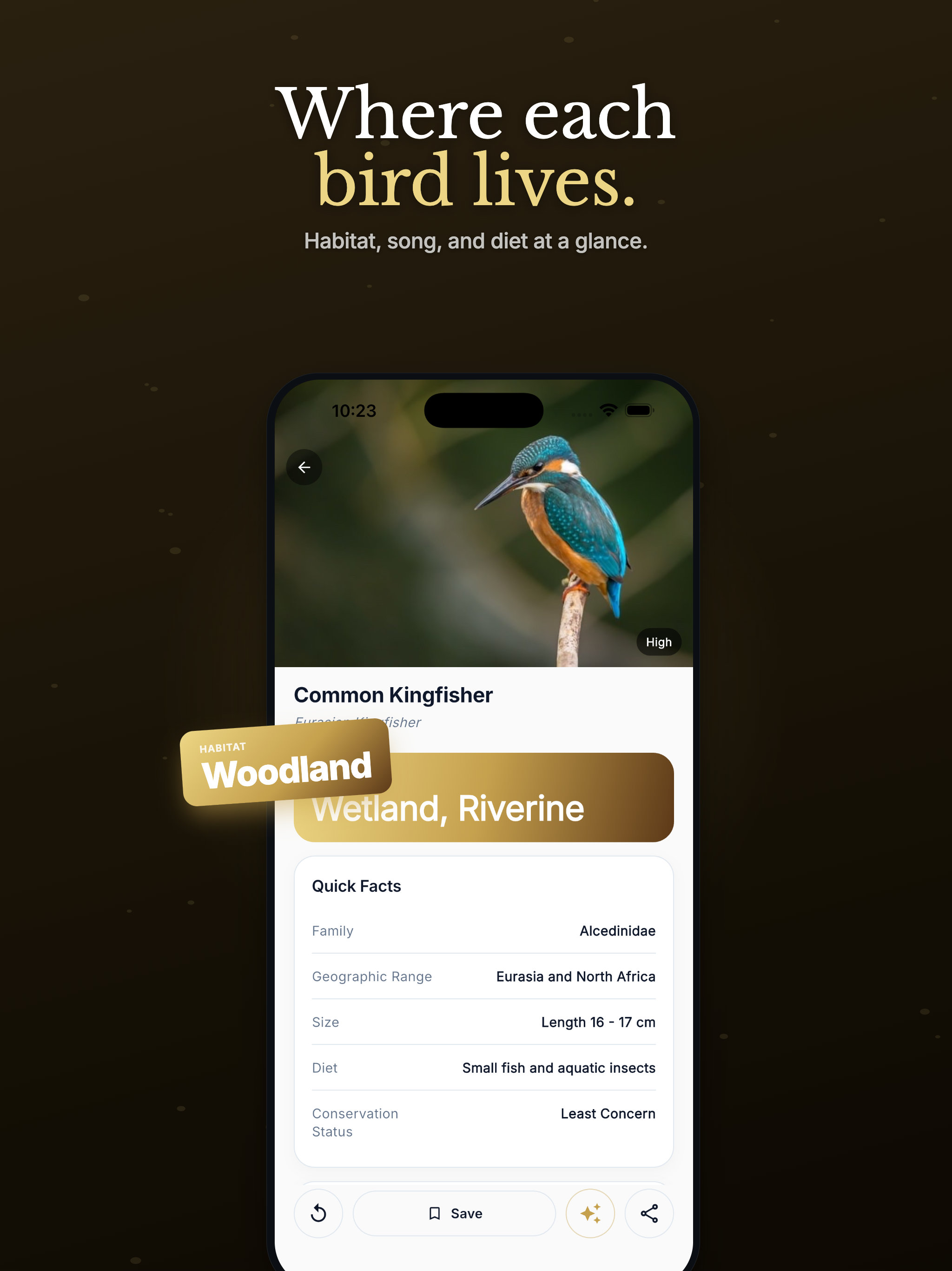 Bird Identifier — Birding ID