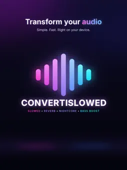 ConvertiSlowed screenshot 3