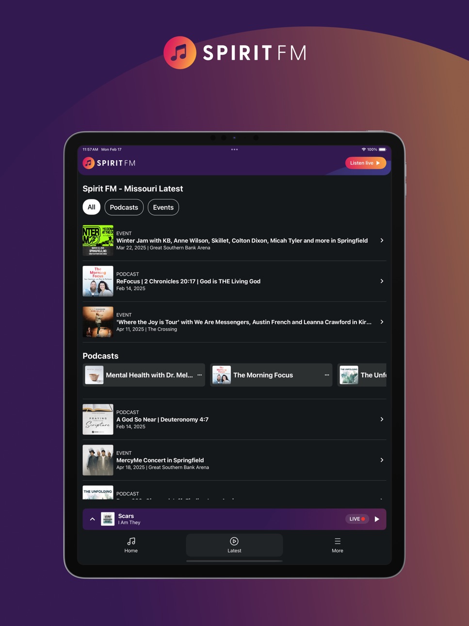iPad screenshot