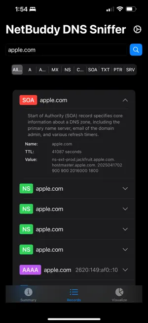 NetBuddy DNS Sniffer screenshot 4