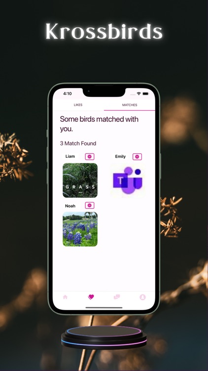 krossbirds screenshot-7