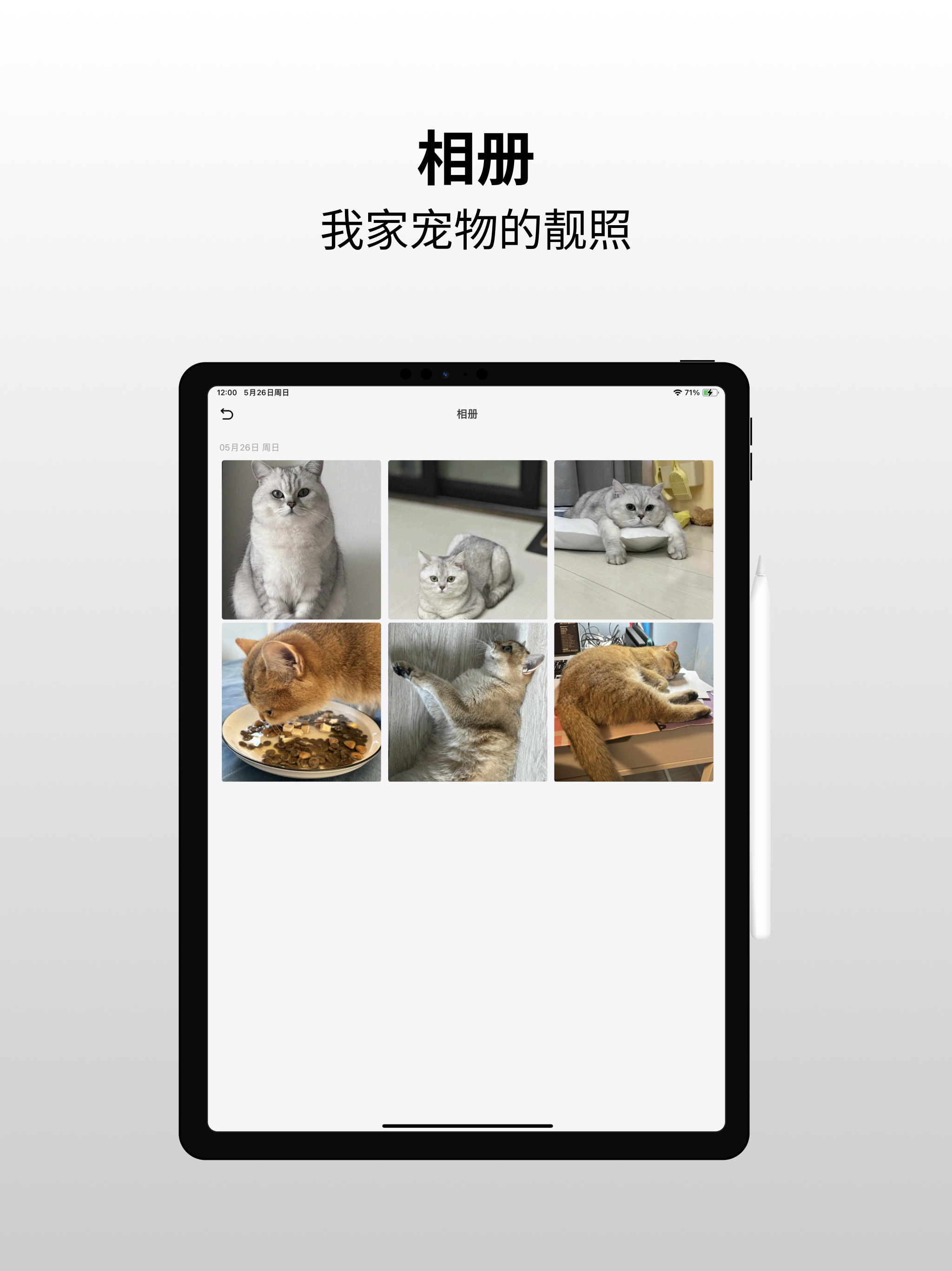 爪迹
