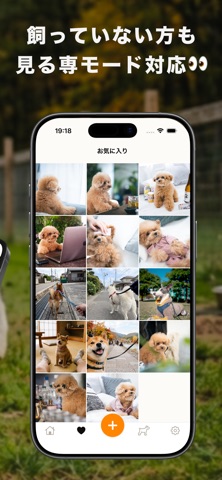 Inustagram: AI Dog Photo Diary iPhone screenshot