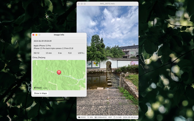 MoliView screenshot