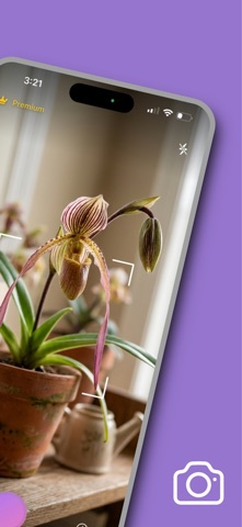 Orchid Identification:AI Guide iPhone screenshot