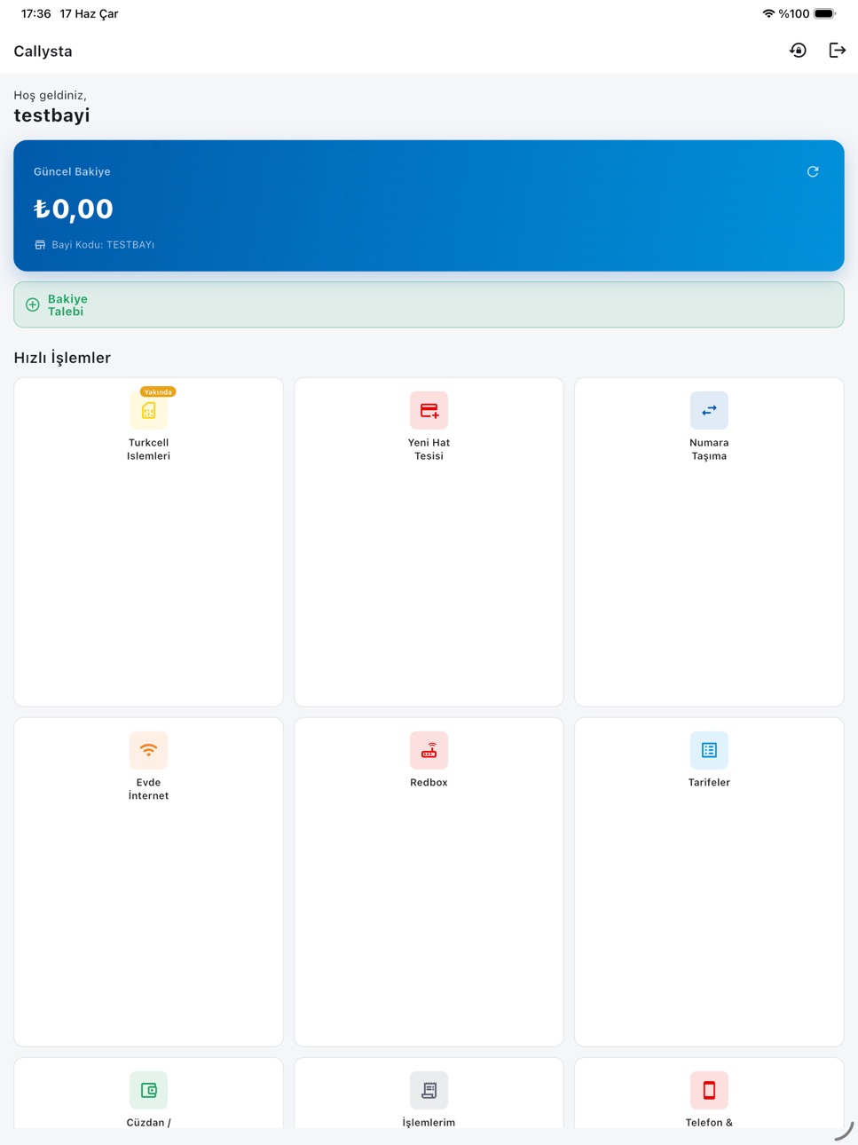 iPad screenshot