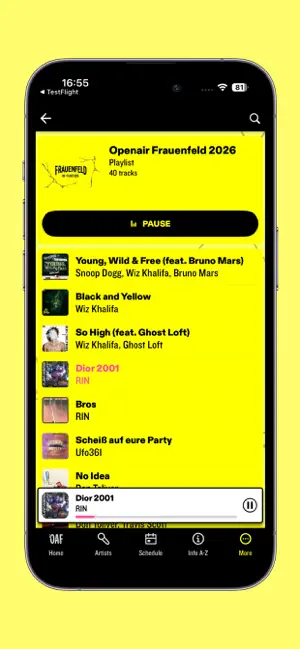 Openair Frauenfeld iPhone screenshot 4