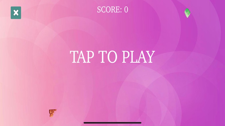 TomGatoPalitto screenshot-4