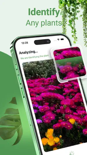 Plant identifier - Botanist screenshot 1