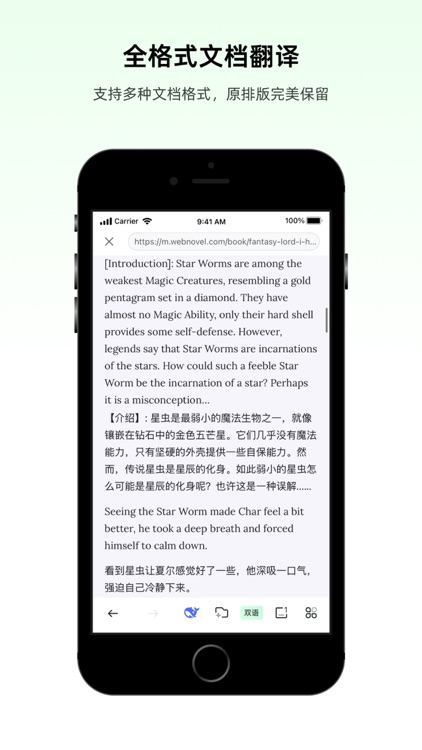 彩云小译 - 语音网页文档图片屏幕全能翻译