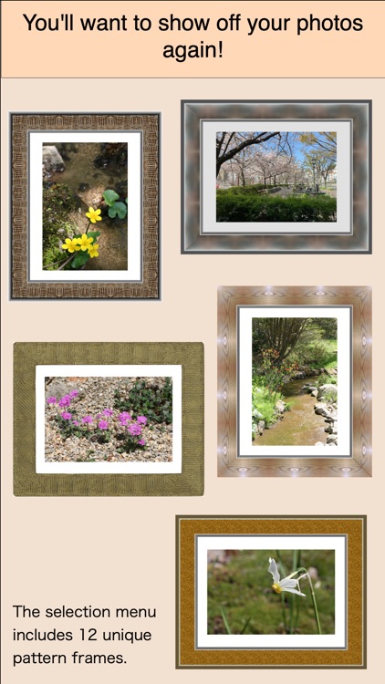 in The Picture Frame