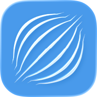 Tor Browser and VPN