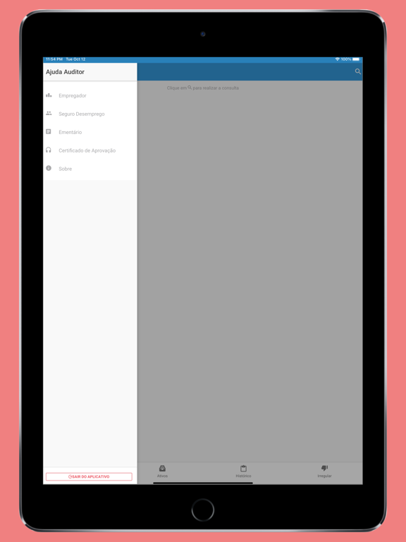 Screenshot #6 pour Ajuda Auditor