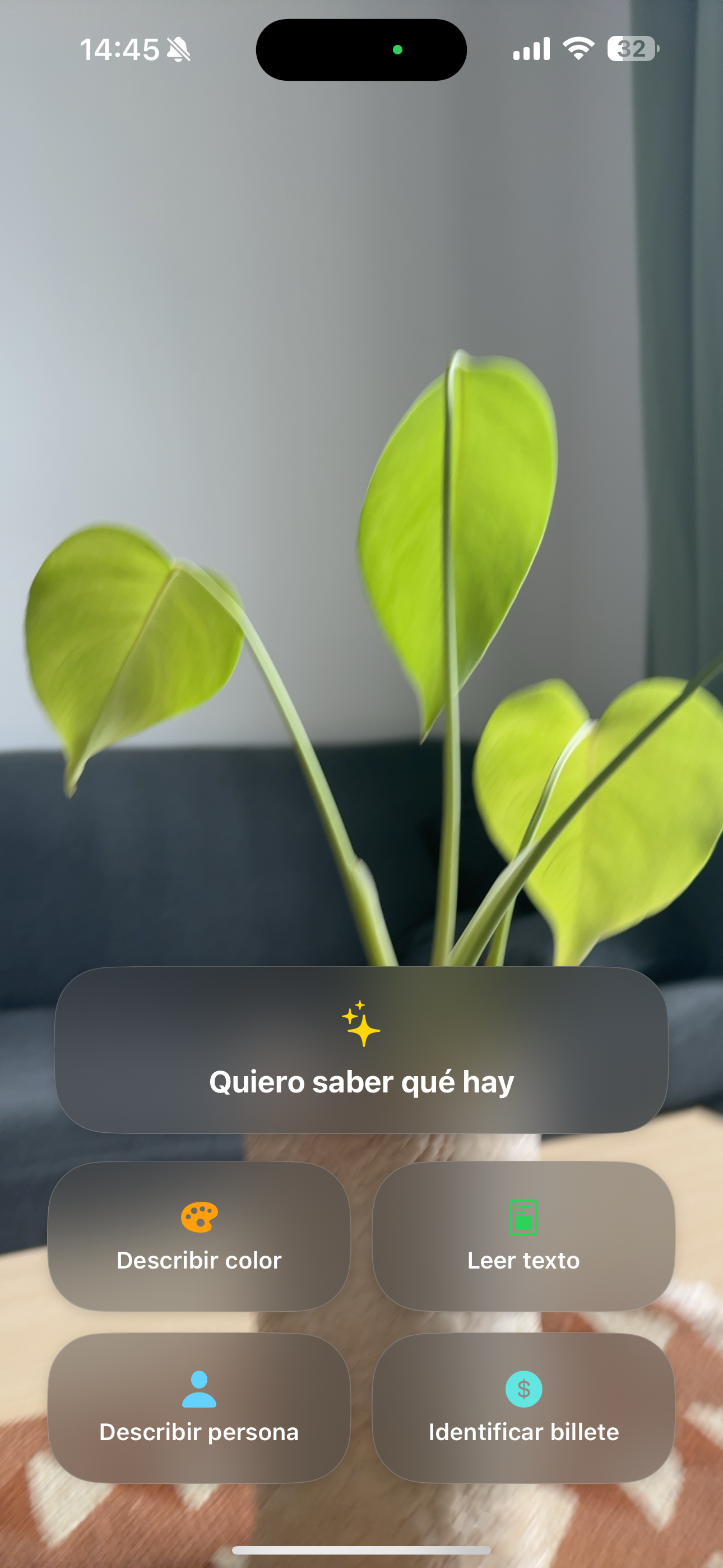AVA: Asistente Visual screenshot 2